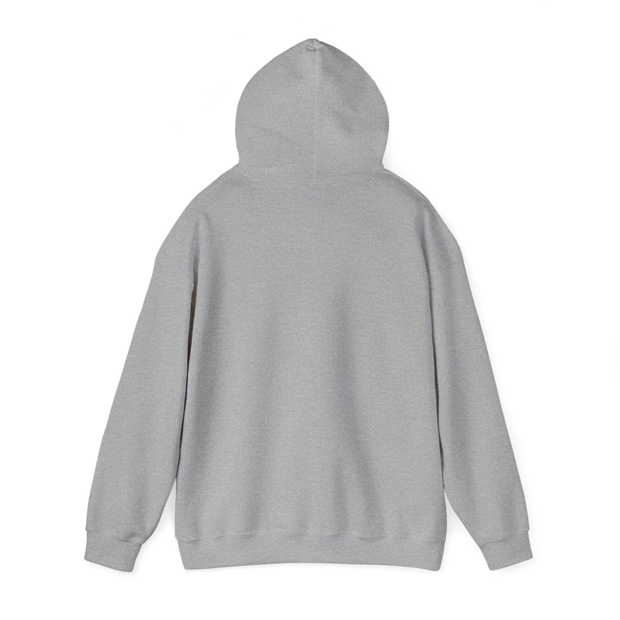 Phyco Monkey Minds Health (I DONT TAKE MEDS ANYMORE)HOODIE