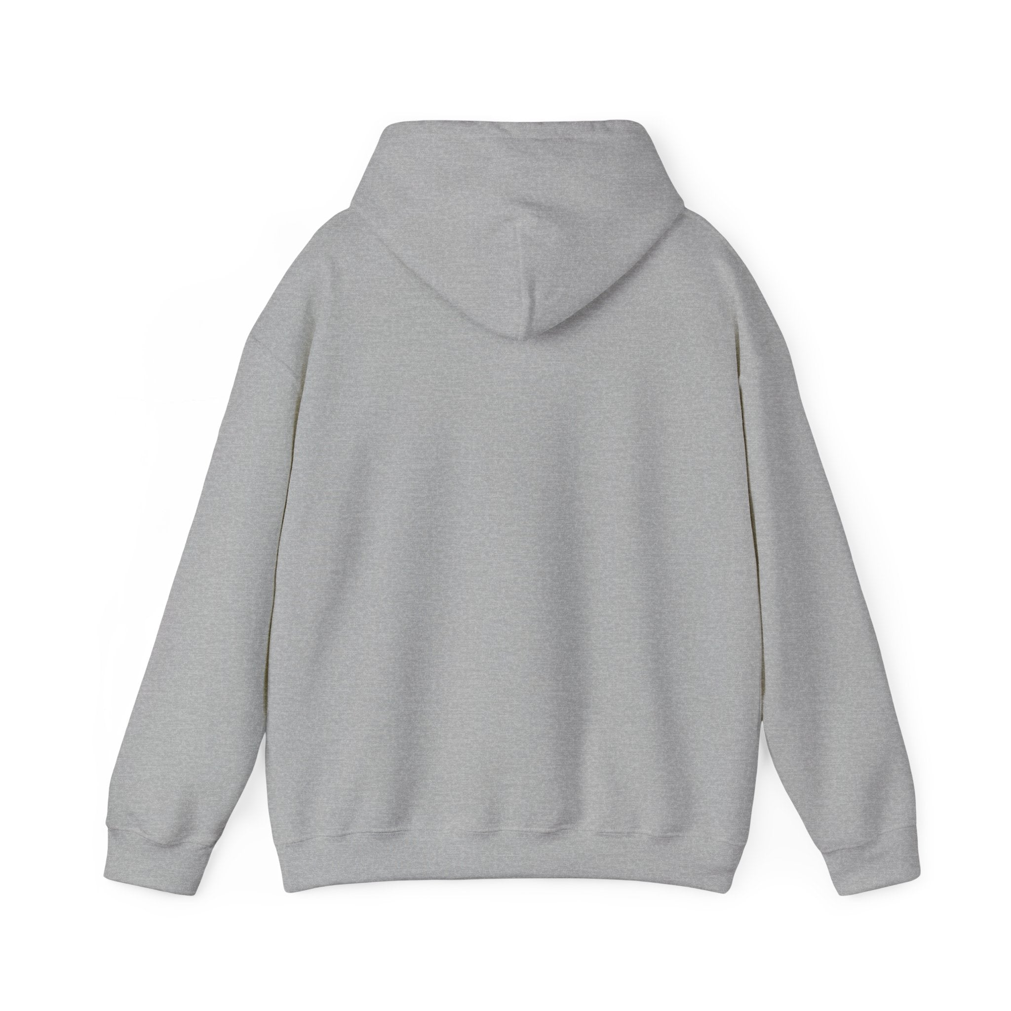 Phyco Monkey Minds Health (I DONT TAKE MEDS ANYMORE)HOODIE