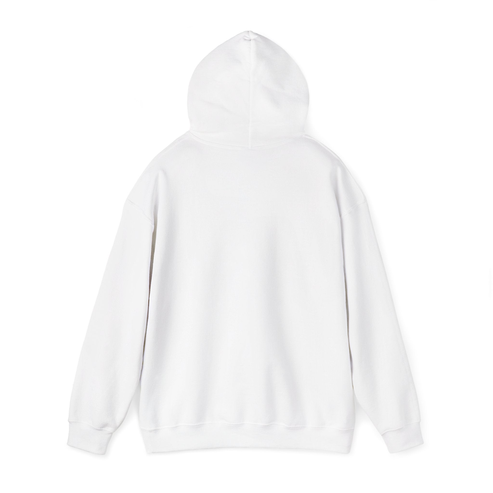 Phyco Monkey Minds Health (I DONT TAKE MEDS ANYMORE)HOODIE